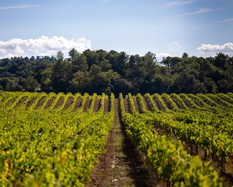 AIX Harvest Report20231